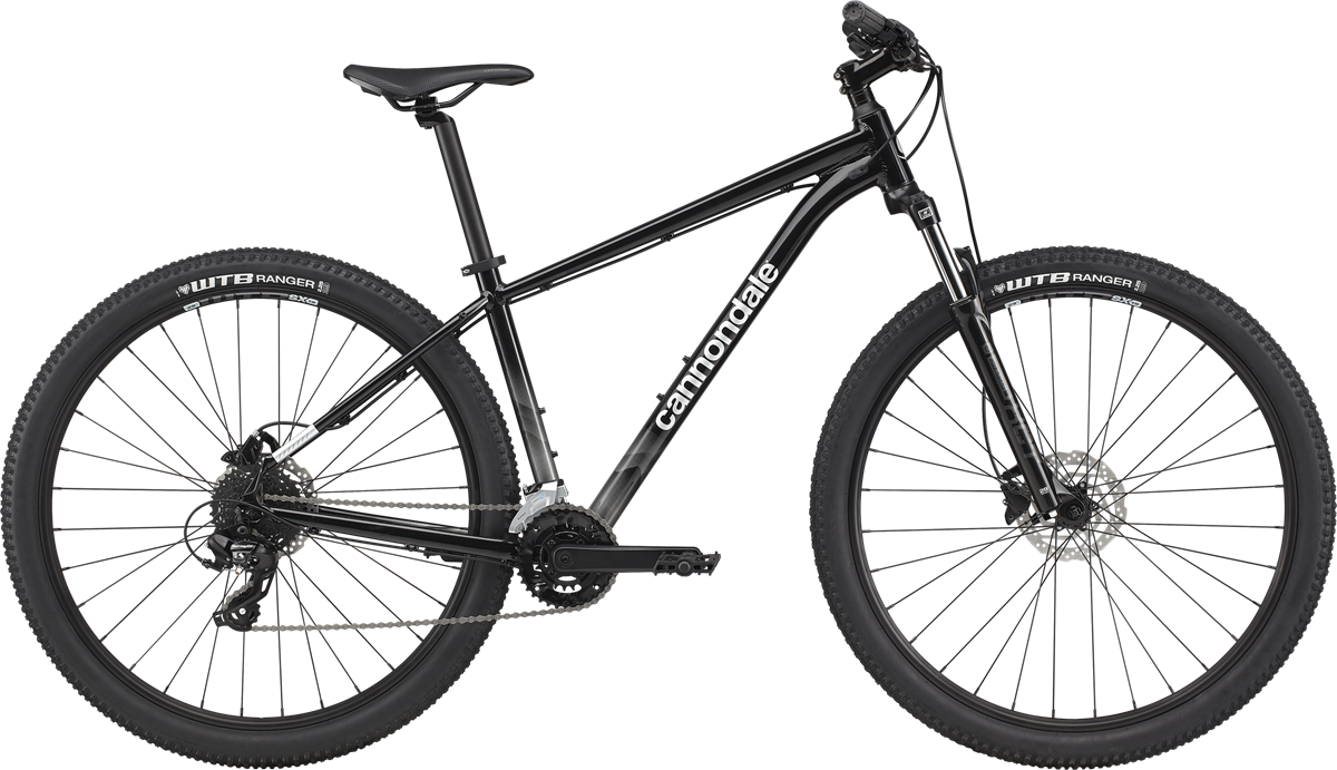 guardian ethos 16 bike