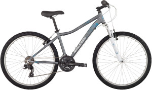 2014 Raleigh Eva 3.0 Womens Silver Mountain Bike