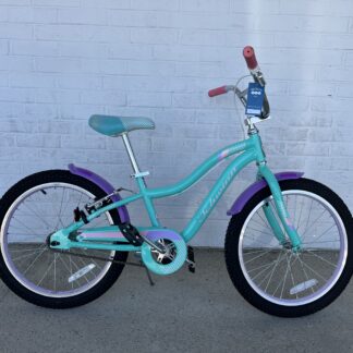 USED TEAL SCHWINN 20" SS SUNNYSIDE CRUISER