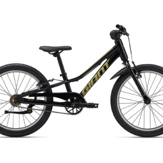 Giant Talon 20 SS Black (IN STOCK!)