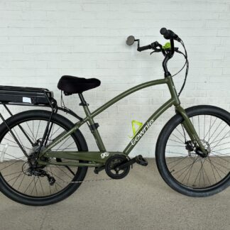 Used Electra Townie Go! Ebike Green (IN STOCK!)
