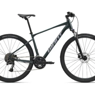 Giant Roam Disc 2 ASPHALT GREEN (IN STOCK!)